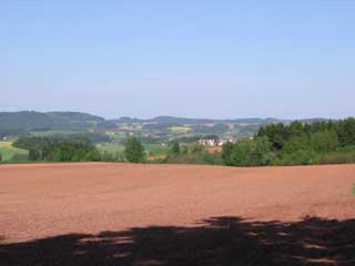 Podkrkono�� od Brda