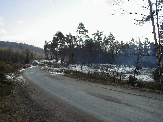 Vykácený les v horní zatáèce na Prachovì