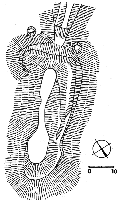 hrad u Bezn�ka � p�dorys