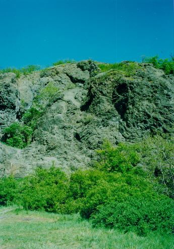 �edi�ov� �tvary na Zeb�n�