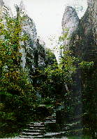 Prachovsk� sk�ly 17