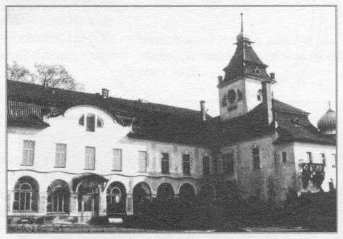 tvrz v Holovousích – pohled na nádvoří zámku