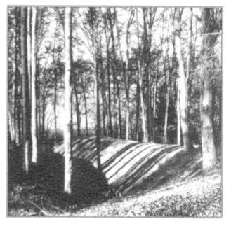 tvrz v Mok�ici � pohled